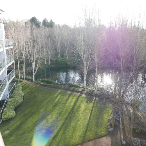 Creswell Drive, BR3